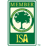 ISA