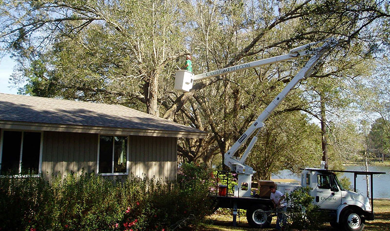 Crane Removals